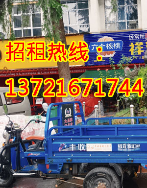 中迈上阳城1